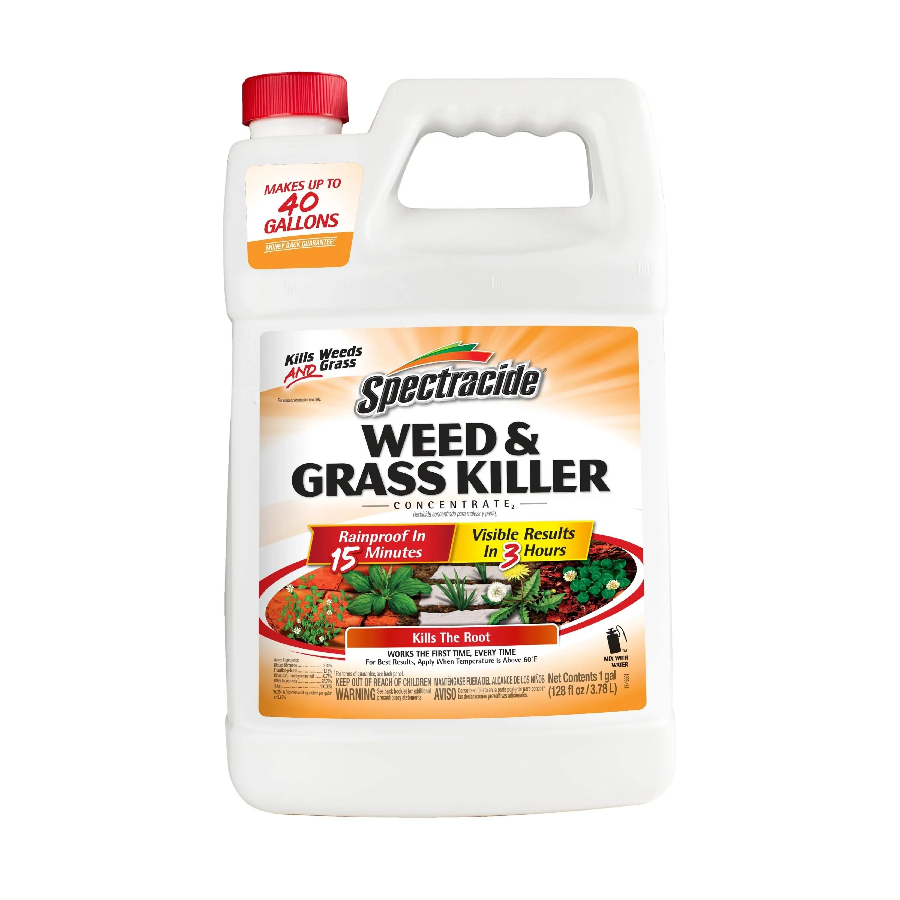 Spectracide Weed &amp; Grass Killer Concentrate 1 Gallon (128 oz)