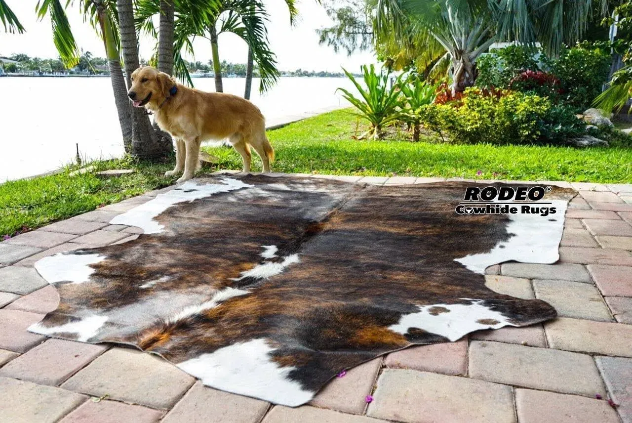 rodeo Cowhide Rug Large Size 5x7-6x7 ft Genuine Cowhide Rug Western Room docoration for Living Room Bedroom Cow Skin Rug Rustic Southwestern Home Decor Must Have