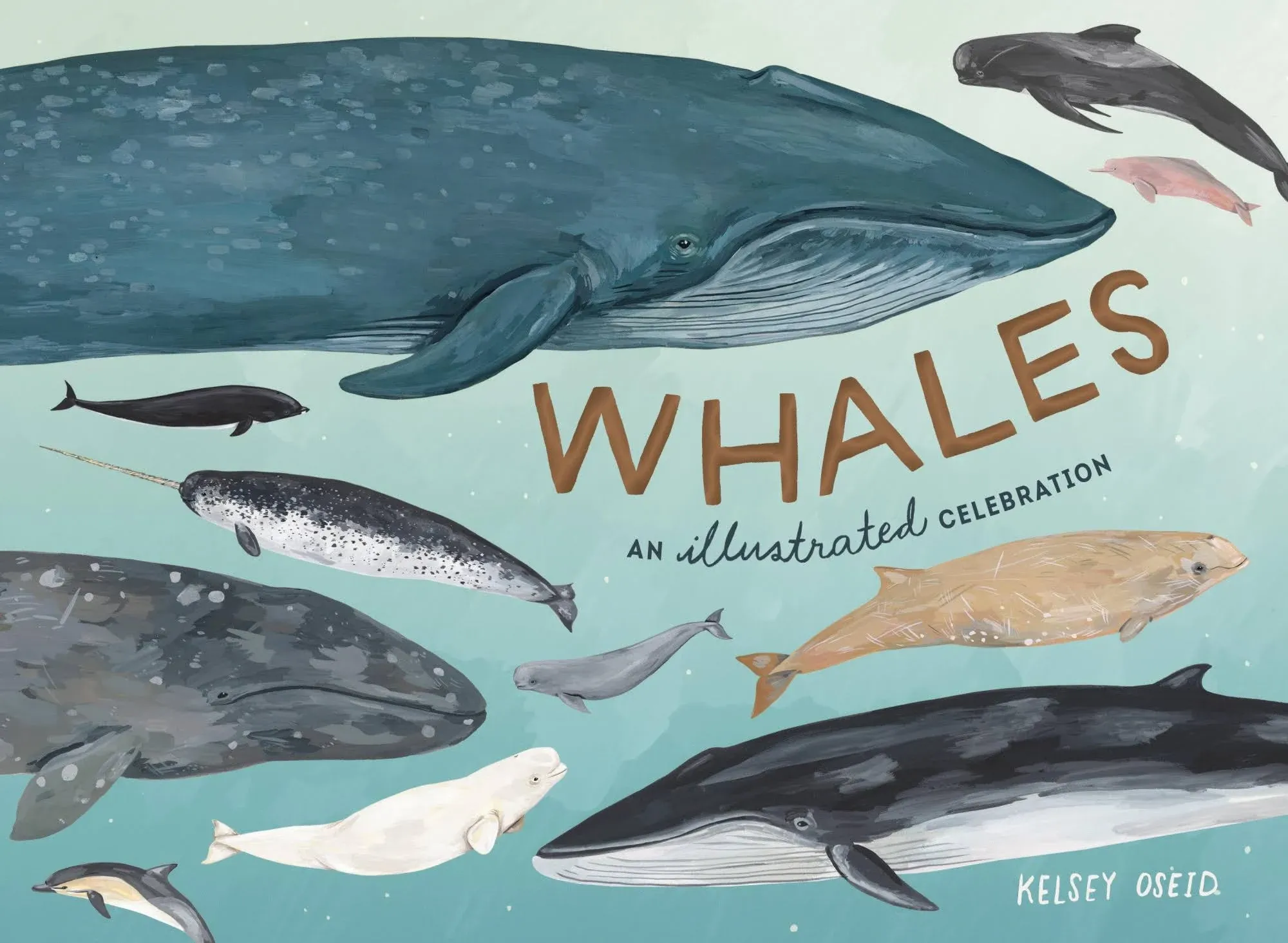 Whales: An Illustrated Celebration [Book]