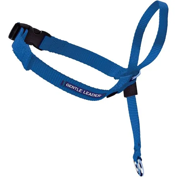 PetSafe Gentle Leader Dog Head Collar, Medium, Blue