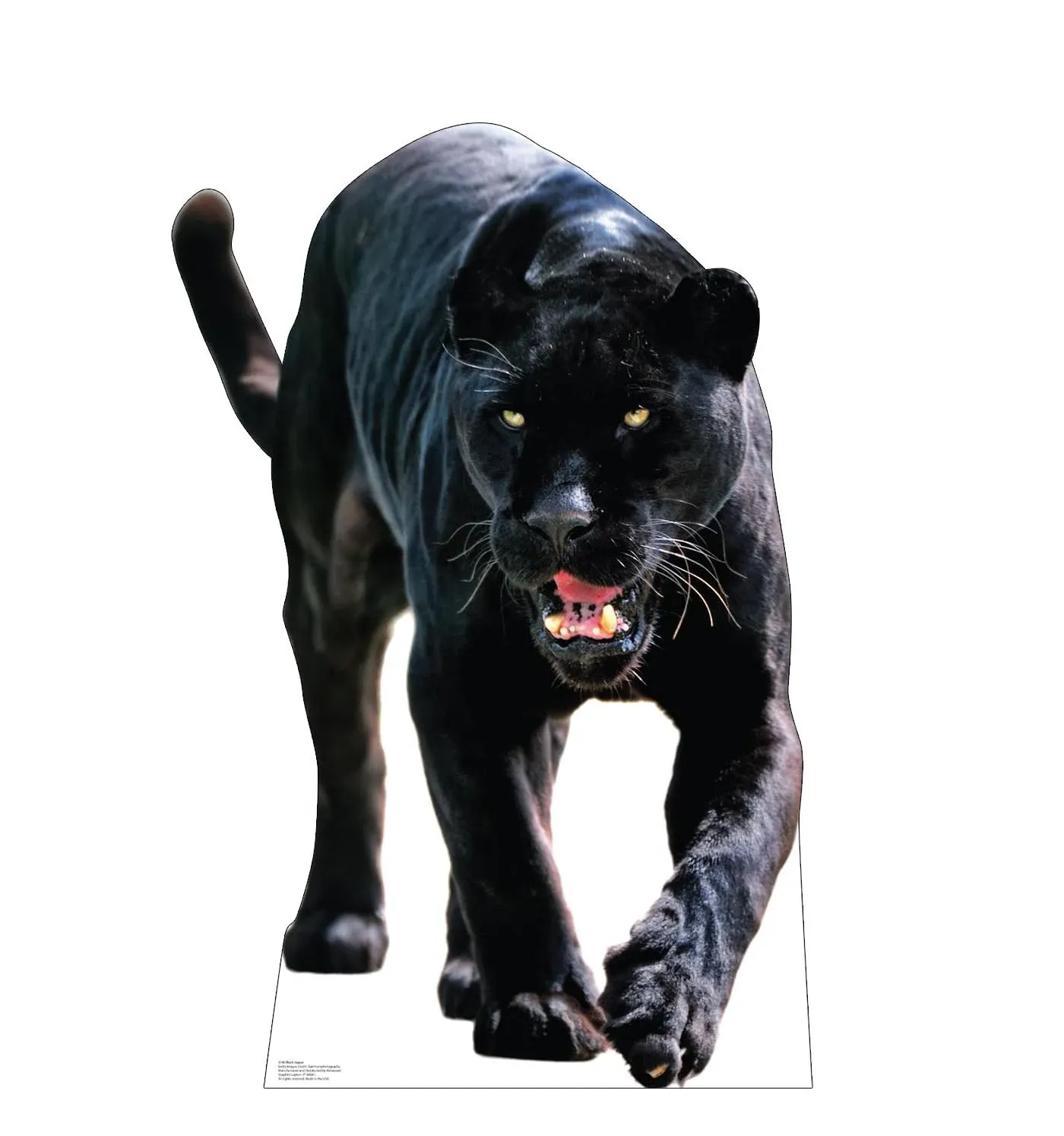 BLACK JAGUAR - LIFE SIZE STANDUP/CUTOUT BRAND NEW 5186