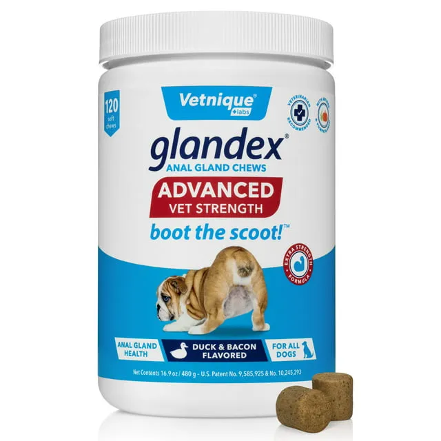 Glandex Advanced Strength Anal Gland Soft Chews for Dogs