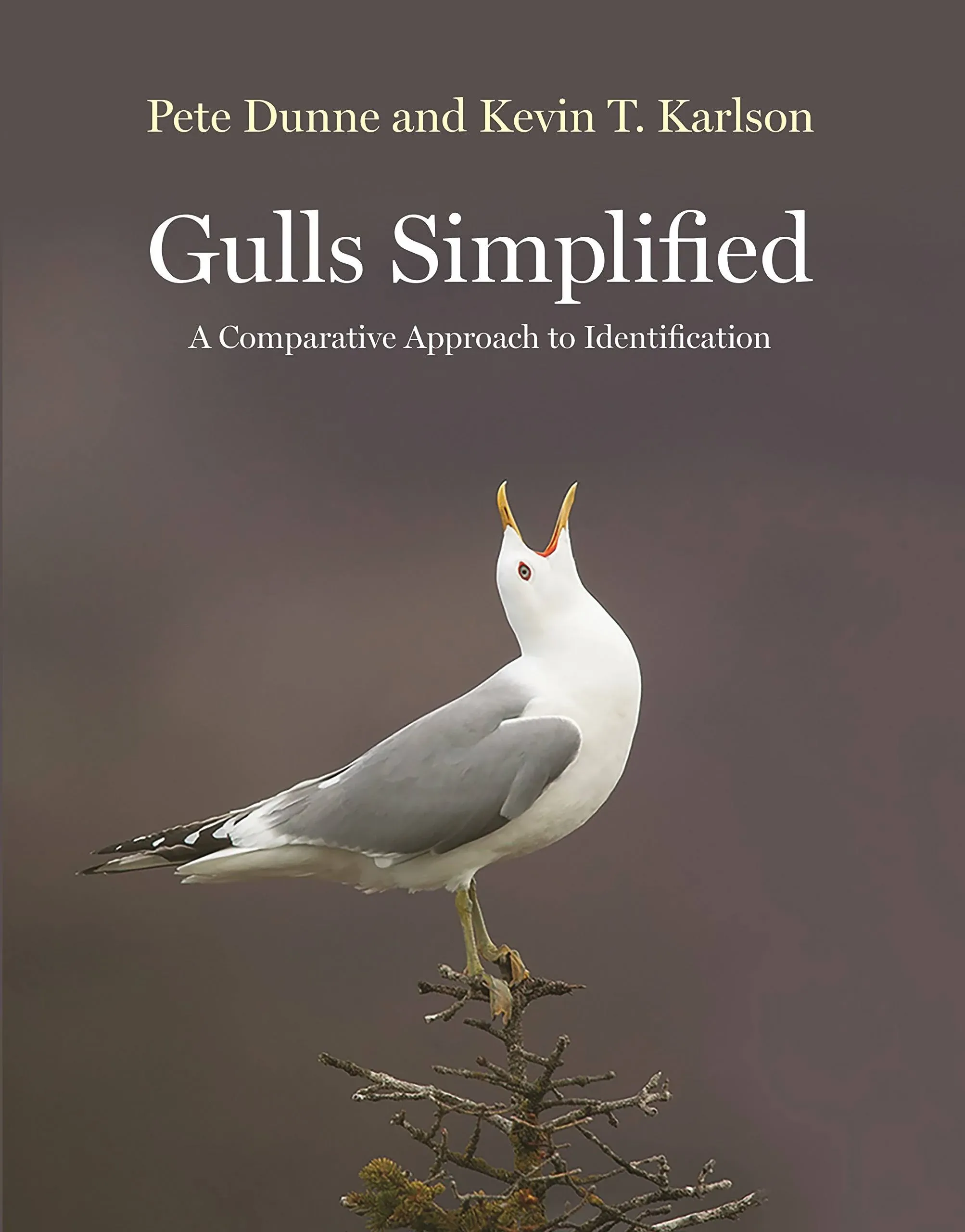 Gulls Simplified: A Comparative Approach to Identification [Book]