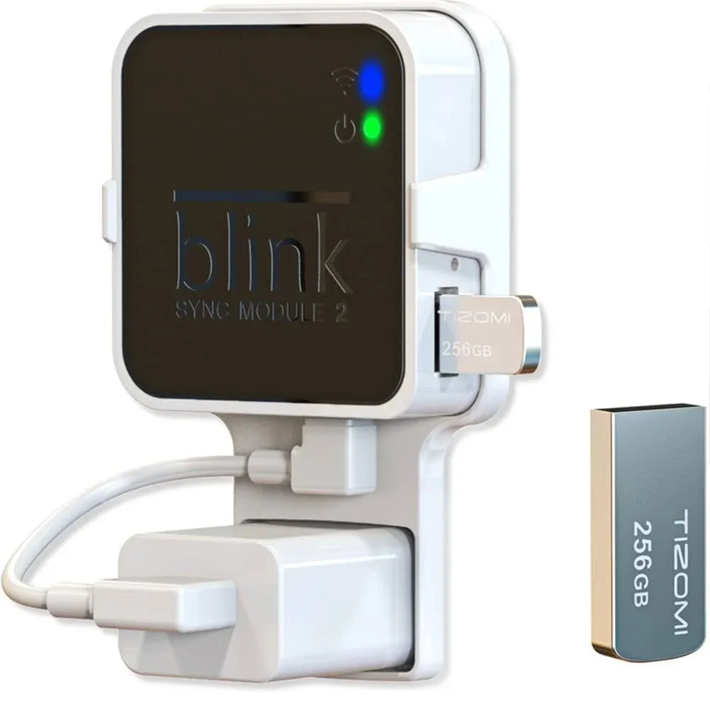 Blink 256GB USB Flash Drive