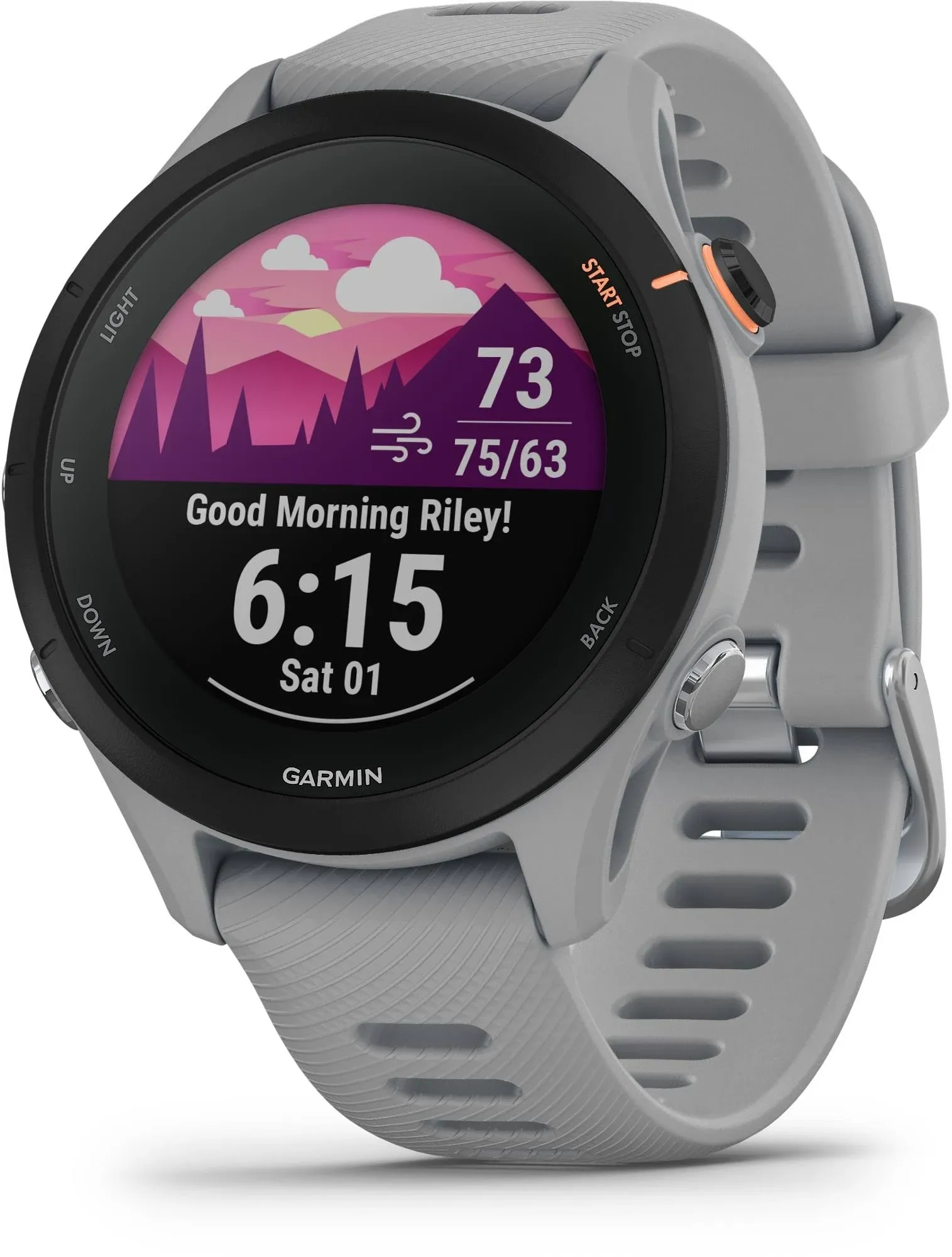 Garmin - Forerunner 255s - Powder Gray