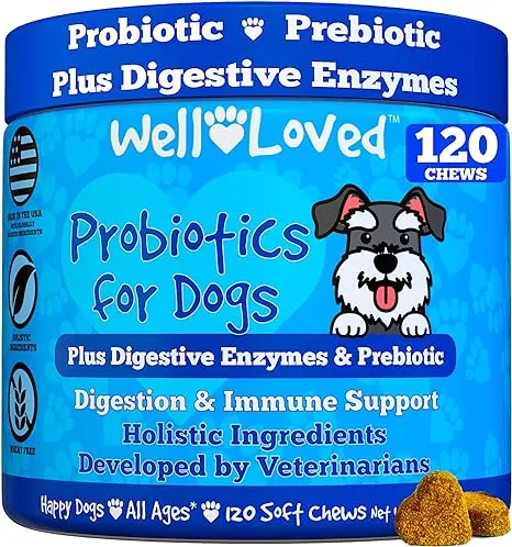 Well Loved Probiotics for Dogs - Dog Probiotics and Digestive Enzymes, Made in USA, Vet Developed, Dog Probiotic Chews with Prebiotics, Diarrhea