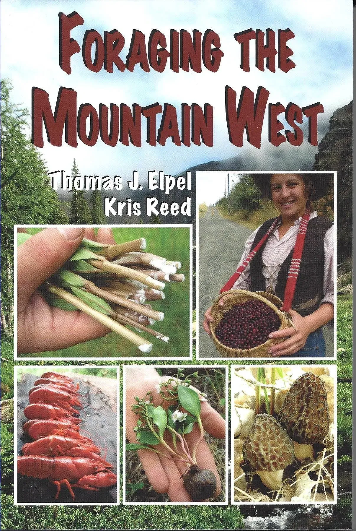 Foraging the Mountain West: Gourmet Edible Plants, Mushrooms, and Meat [Book]