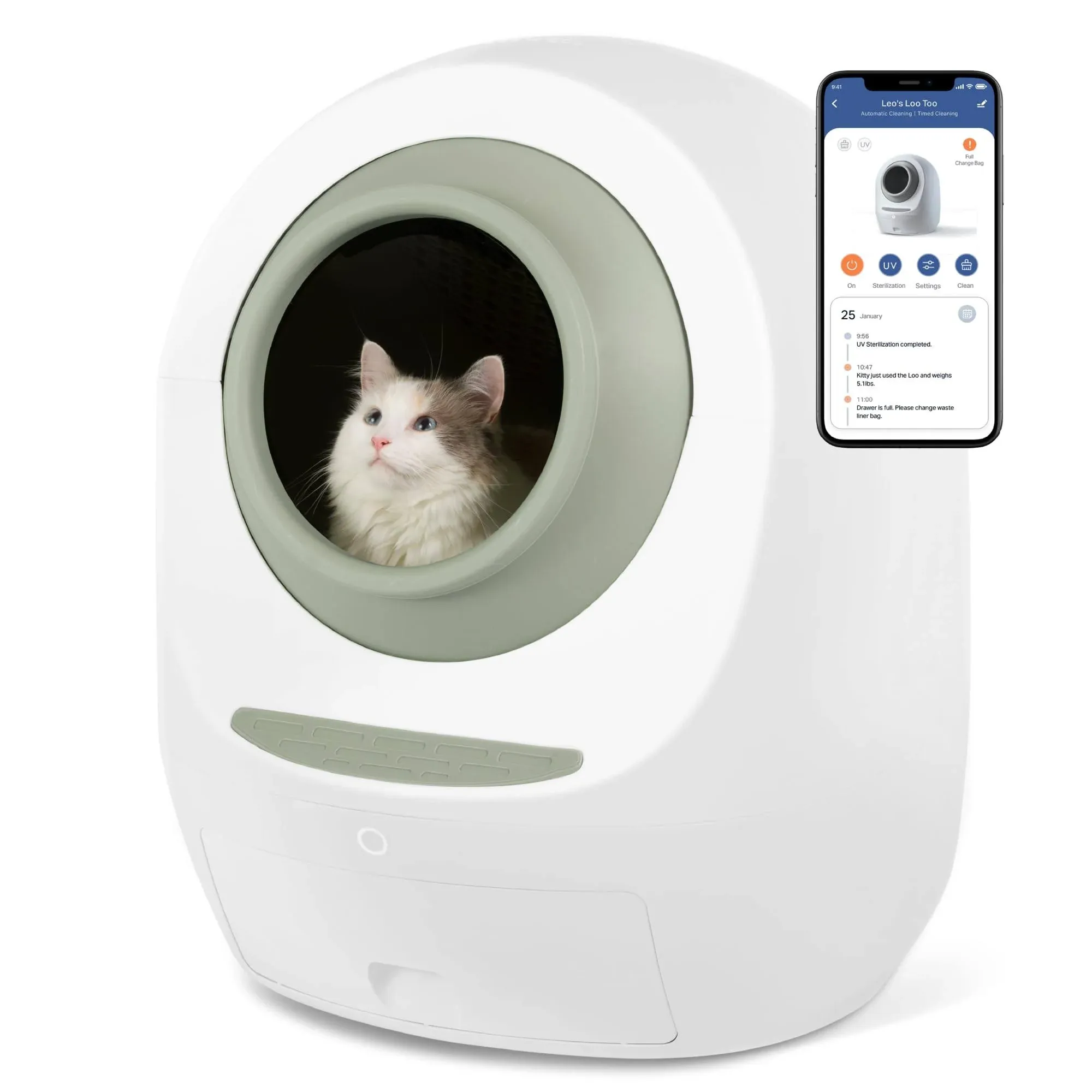 Casa Leo Leo's Loo Too - Smart Self-Cleaning Cat Litter Box, Green