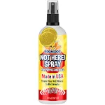 Bodhi Dog Not Here! Spray - Deters Pet Marking, Safe Ingredients, Indoor & Outdoor Use - 8oz