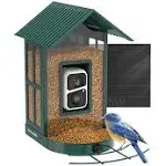  Bird Feeder with Camera Wireless Outdoor with AI Identify Bird Species, Green