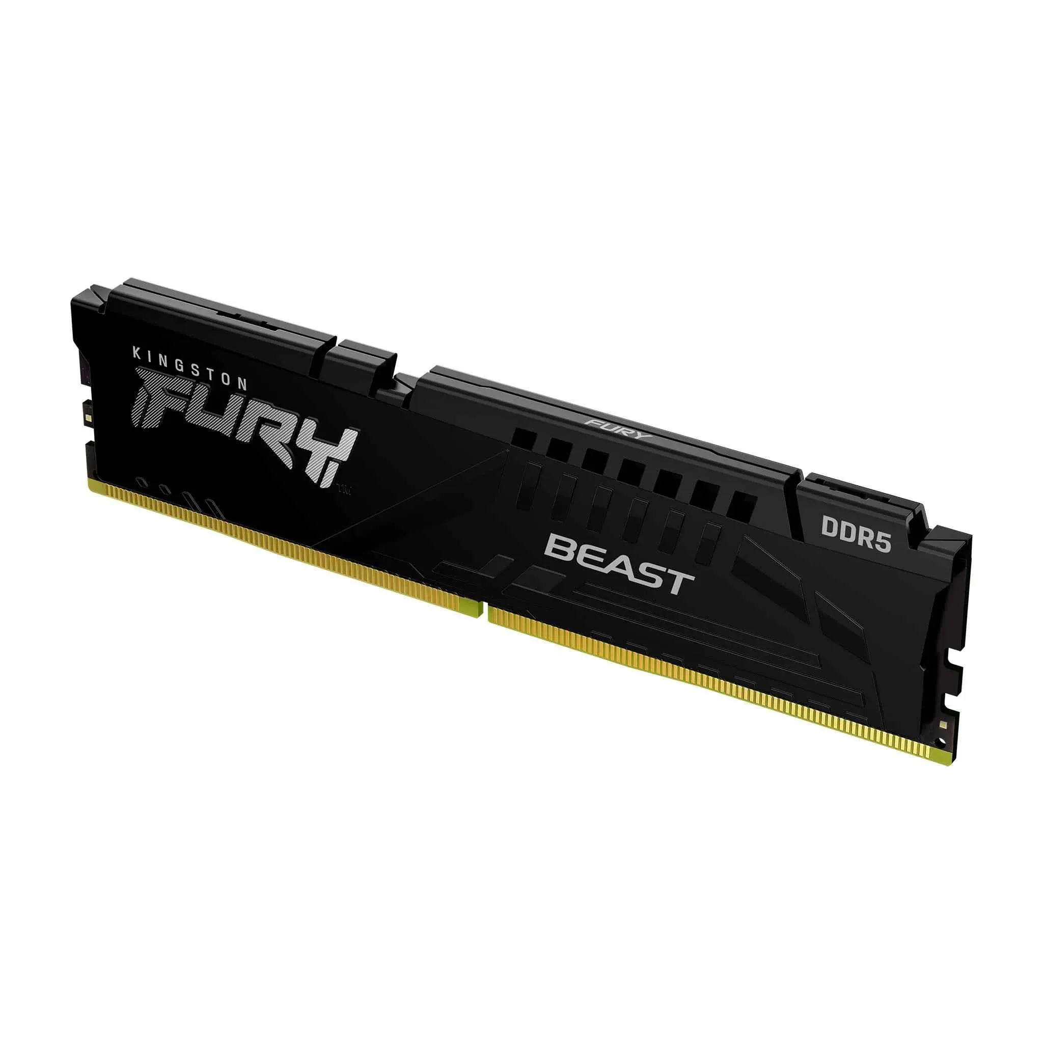 Kingston Technology FURY Beast memory module 1 x 32 GB