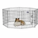 Midwest Homes for Pets Foldable Metal Dog Exercise Pen / Pet Playpen. Black W/ D