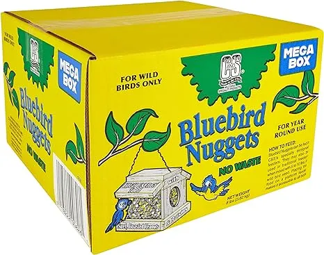 C&S Wild Bird Peanut Suet Nuggets Mega Box, 8 Pounds