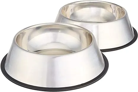 Basics Stainless Steel Dog Bowl - Set of 2