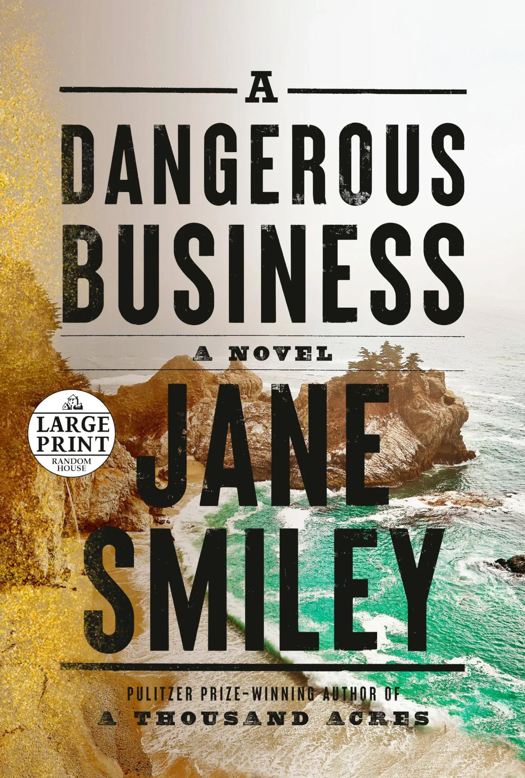 A Dangerous Business: A Novel [Book]