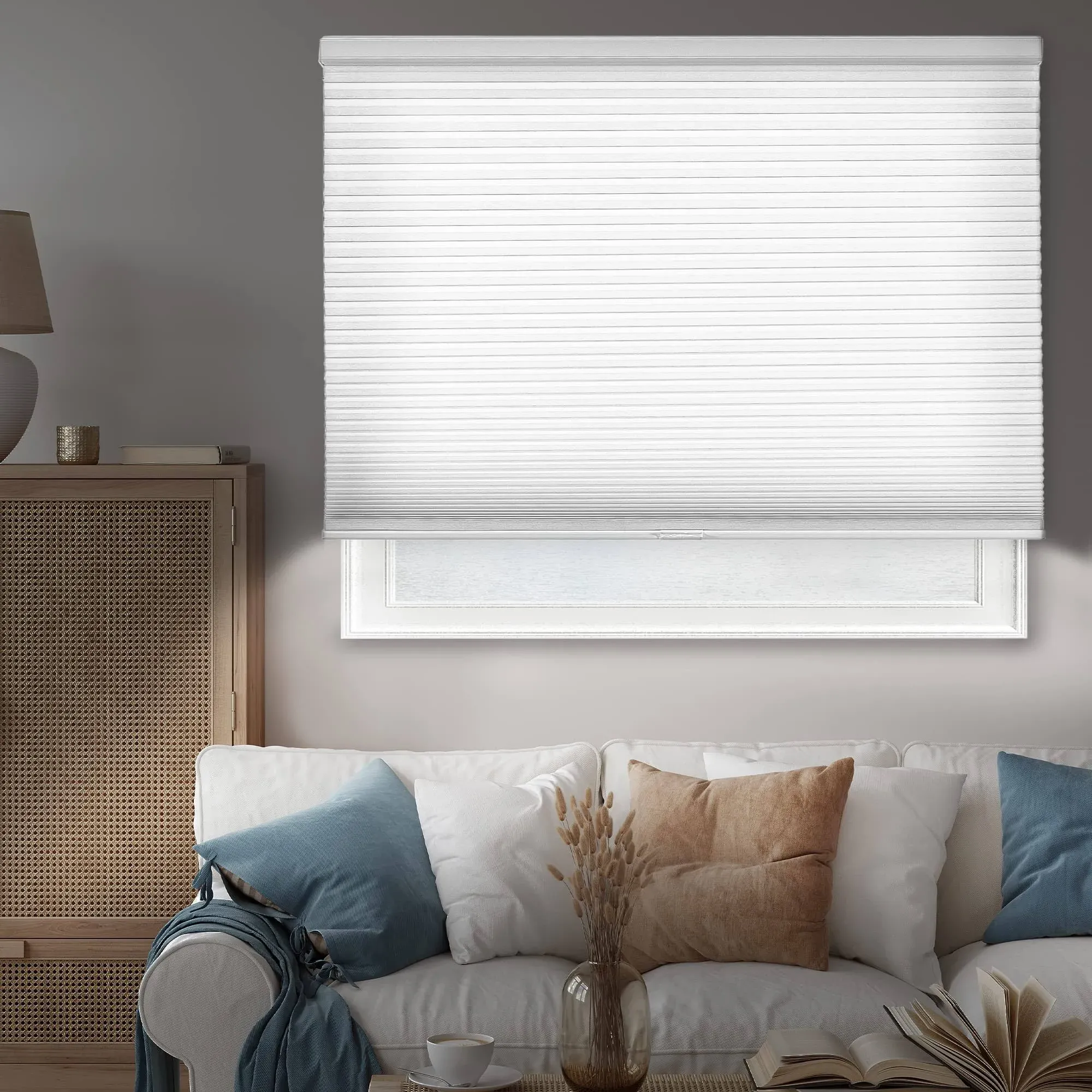 Chicology Privacy & Light Filtering Cordless Cellular Shades, Size: 30 inch x 48 inch, White