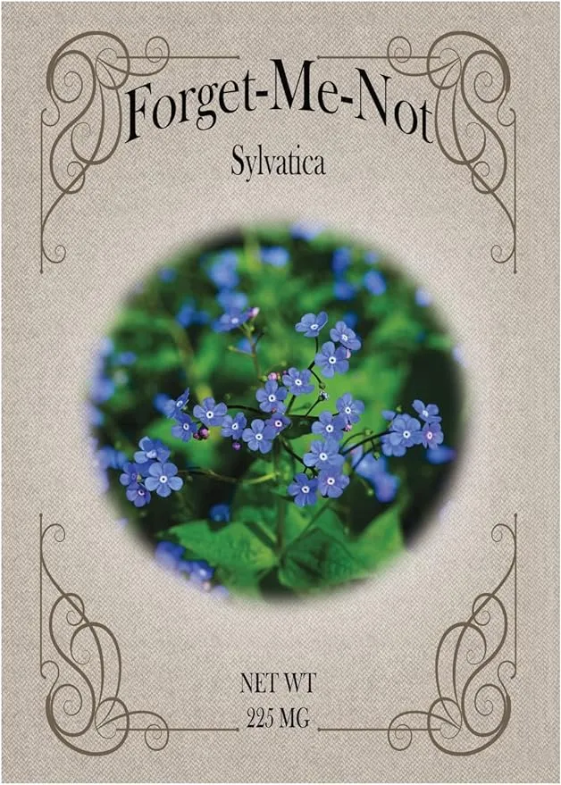 Set of 50 Forget Me Not Valley Green Flower Seed Packets! Flower Seeds in Bulk - Forget Me Nots