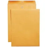 Staples Clasp & Moistenable Glue Catalog Envelopes