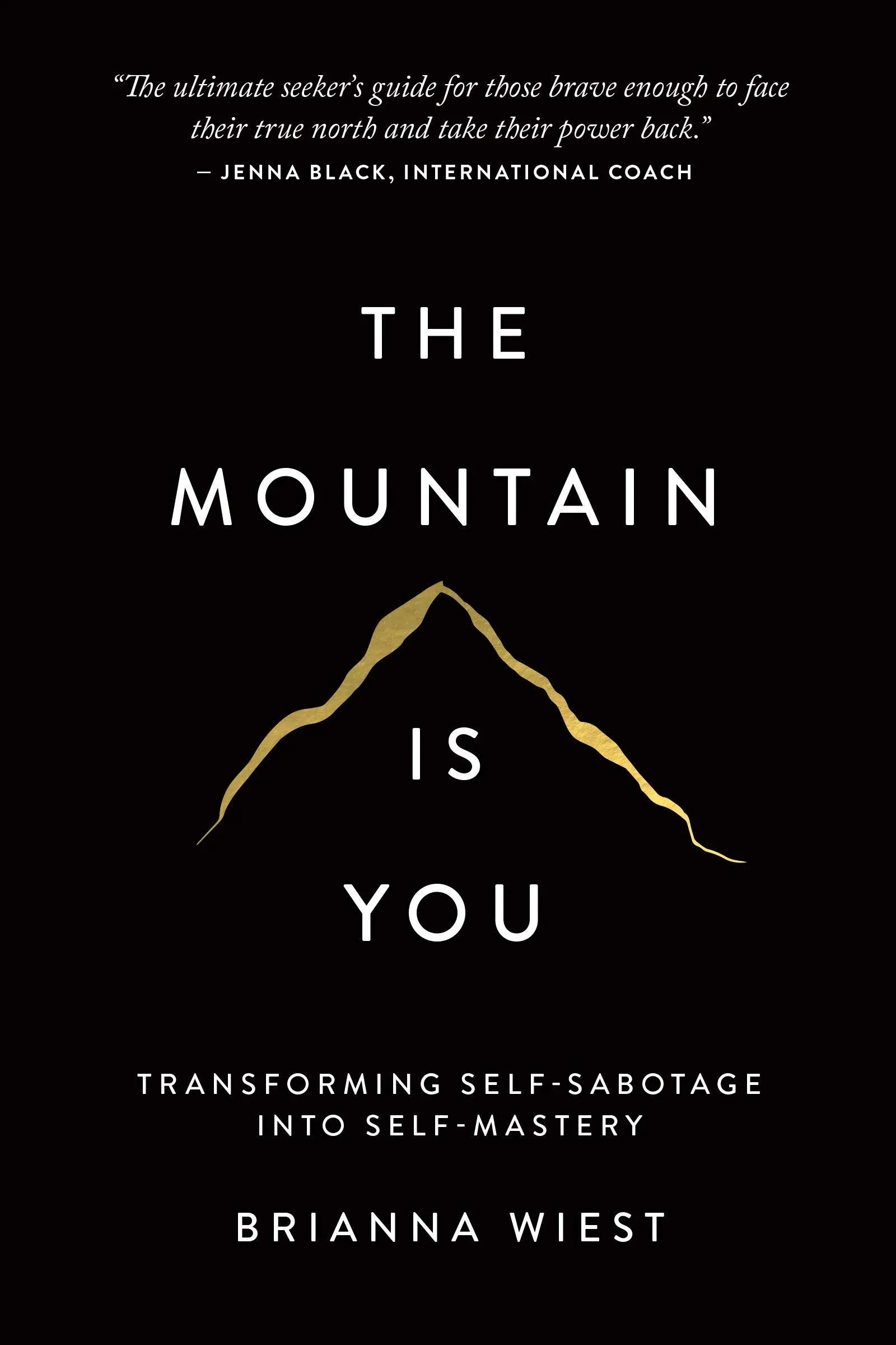 The Mountain Is You: Transforming Self-Sabotage Into Self-Mastery [Book]