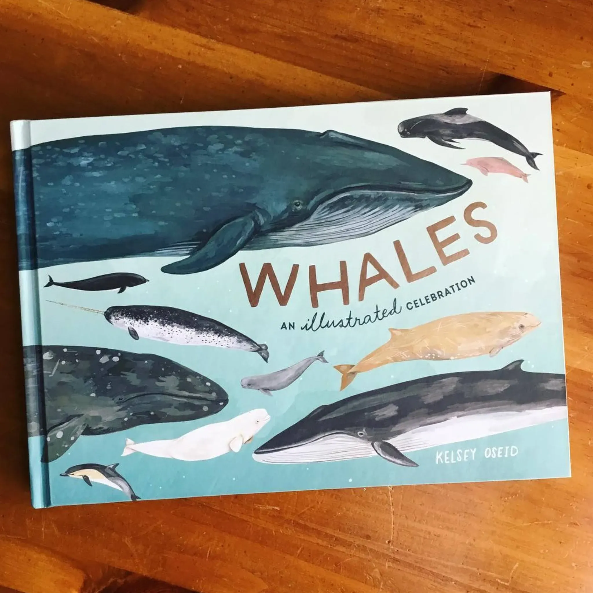 Whales: An Illustrated Celebration