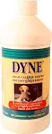 Dyne High Calorie Liquid Nutritional Supplement for Dogs & Puppies 16-oz