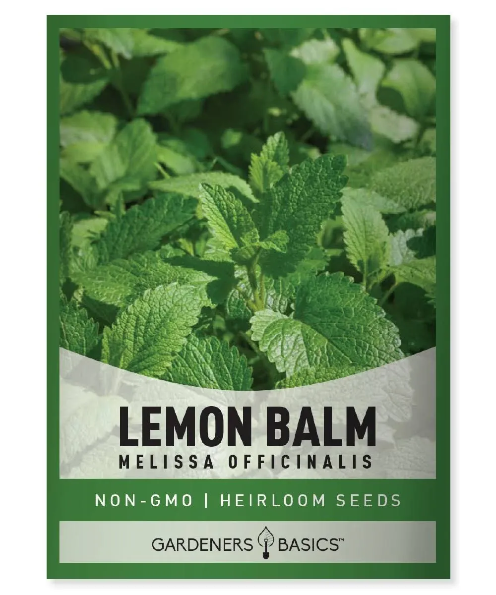 Organic Lemon Balm Heirloom Herb Seeds: Perfect for Indoor and Outdoor Planting of (Melissa Officinalis) - Non-GMO, Open-Pollinated Variety for