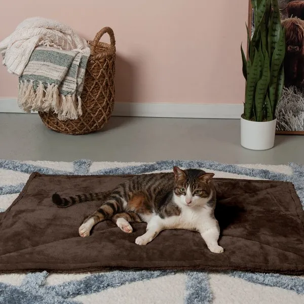 Furhaven ThermaNAP Self-Warming Cat Bed for Indoor Cats & Small Dogs, Washable & Reflects Body Heat - Quilted Faux Fur Reflective Bed Mat - Espresso, Small