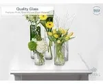 Royal Imports Flower Glass Vase Decorative Centerpiece for Home or Wedding - Cylinder Shape, 4" Tall, 8" Opening, Clear