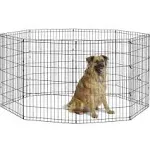 New World Dog Exercise Pen & Playpen, 24" W x 36" H, No Door, Black