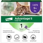 Advantage II Large Cat - 1 Month Dose