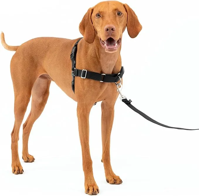 PetSafe Easy Walk Dog Harness