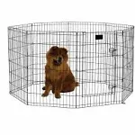 Black E-Coat Pet Exercise Pen with Walk-Thru Door 8 Panels