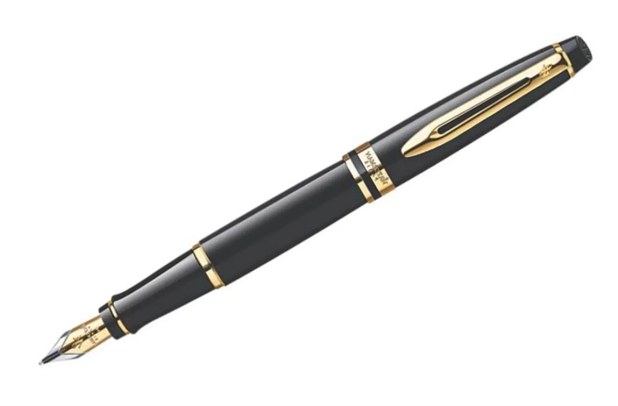 Waterman Expert Fountain Pen