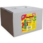 C&S Sunflower Suet Nuggets Wild Bird Food, 8-lb Box