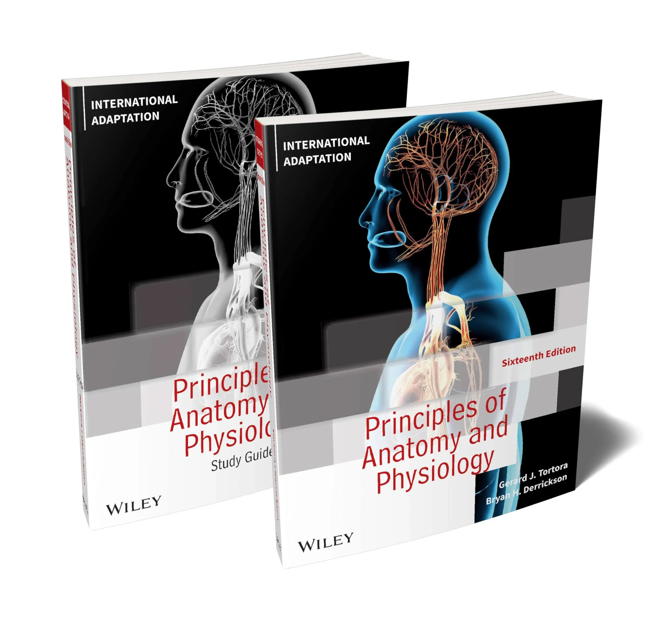 Principles of Anatomy and Physiology 9781394210213 - Free Tracked Delivery