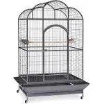 Prevue Pet Products Silverado Macaw Dometop Cage 3155S Silverado 46-Inch by 36-Inch by 78-1/4-Inch