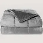 22 lb 60" x 80" Weighted Blanket Cotton Light Grey by Bare Home