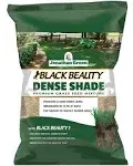 Jonathan Green JOG10600 40600 Dense Shade Grass Seed, 3 lb, 3-Pound