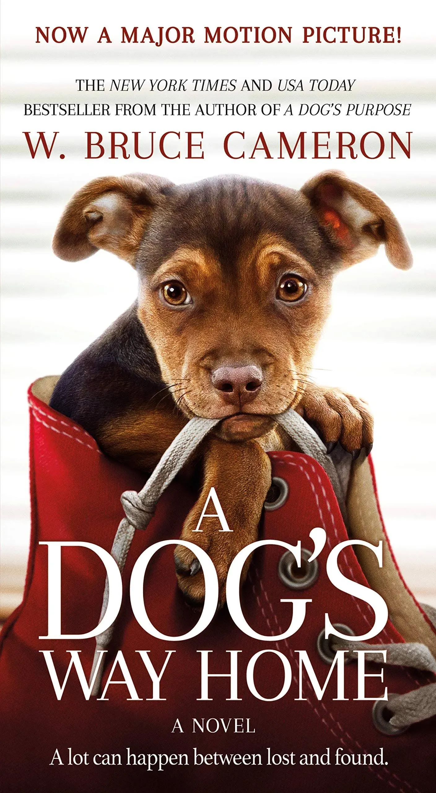 A Dog's Way Home (A Dog's Way Home Novel, 1)