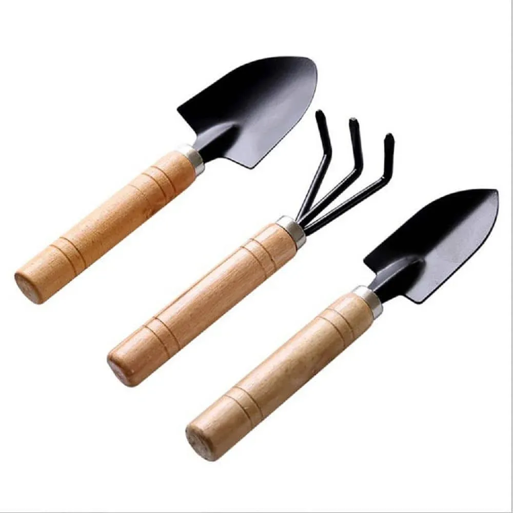 Garden Tools Set-Garden Rake Trowel, Small Succulent Plant Transplant Trowel Set,3 Piece Mini Premium Gardening Hand Kit,1 Narrow Shovel,1 Wide Shovel and 1 Garden Tools Set Gift for Older and Kids