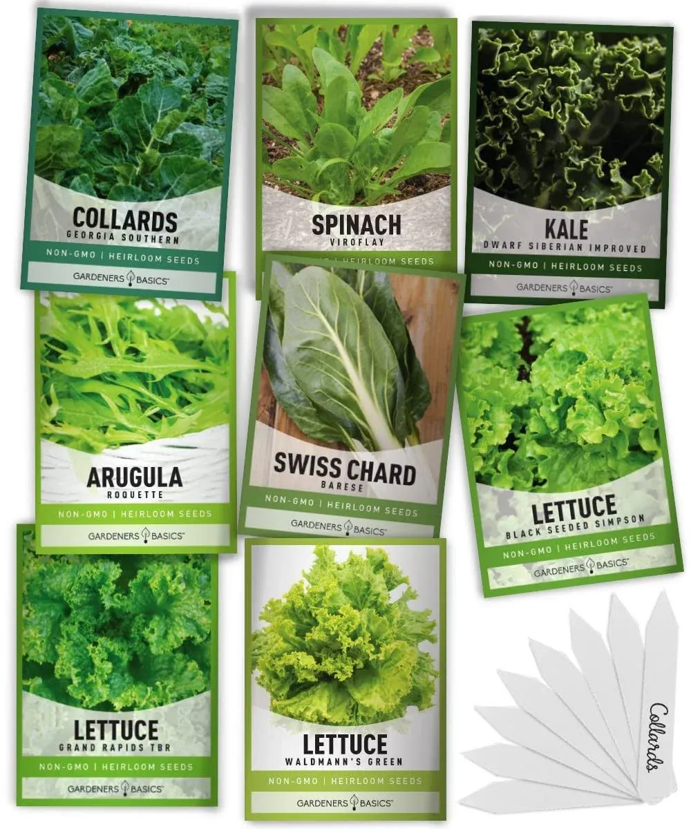 Gardeners Basics, 8 Leafy Garden Greens Seeds for Planting Individual Packets - Arugula, Collards, Spinach, Swiss Chard, Kale, Lettuce, Leafy and Butter Lettuce Seeds for Your Heirloom Salad Garden