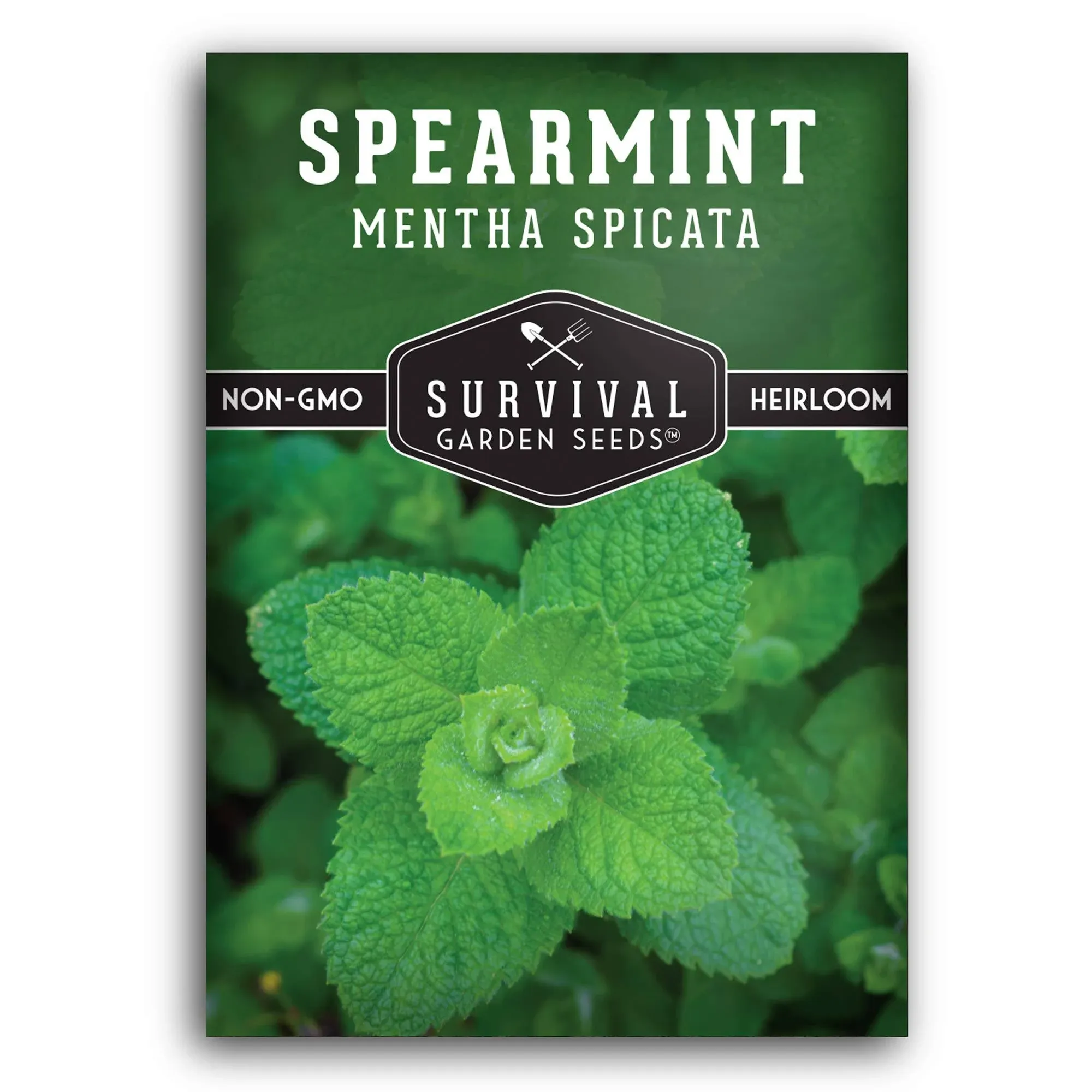 Spearmint Seed