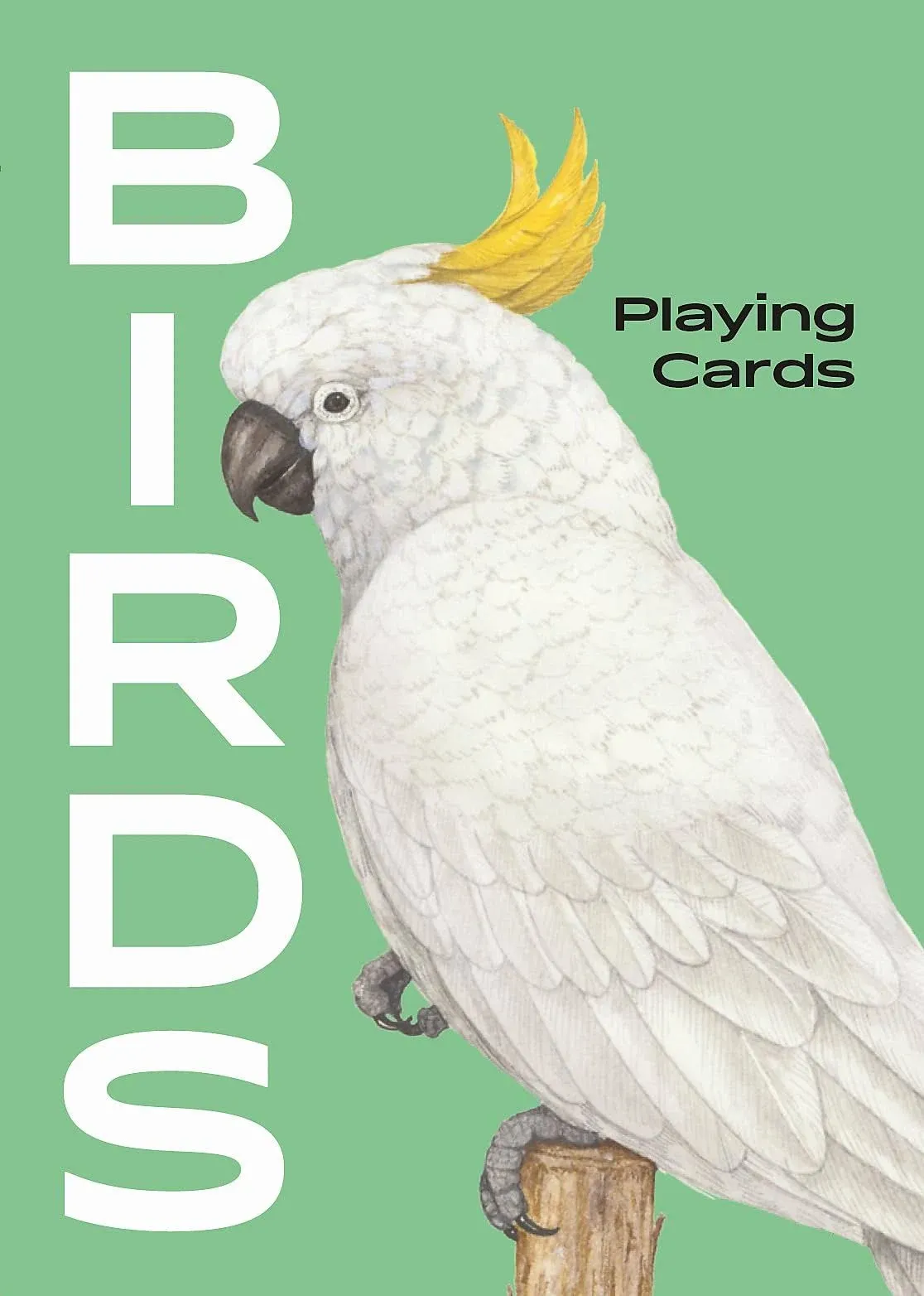 Birds Playing Cards