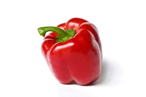 Yolo Wonder L Red Sweet Pepper, 100 Heirloom Seeds Per Packet, Non GMO Seeds