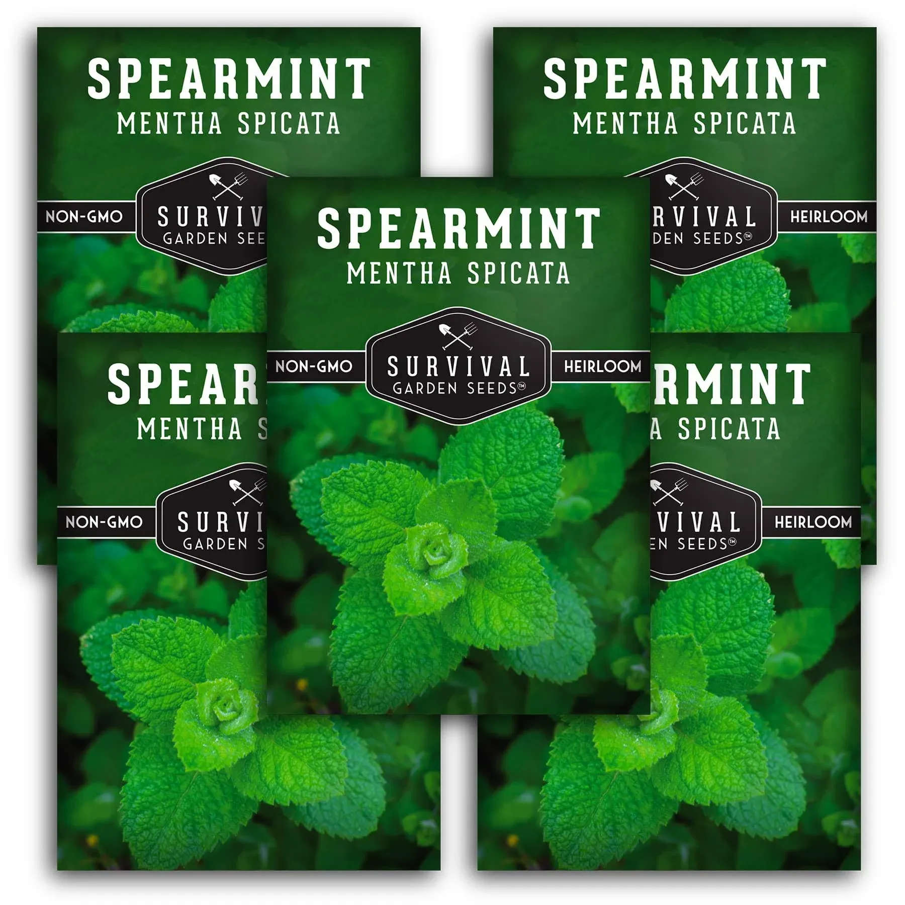 Survival Garden Seeds - 5 Packets of Spearmint Seed - Non-GMO Heirloom Full Sun ...