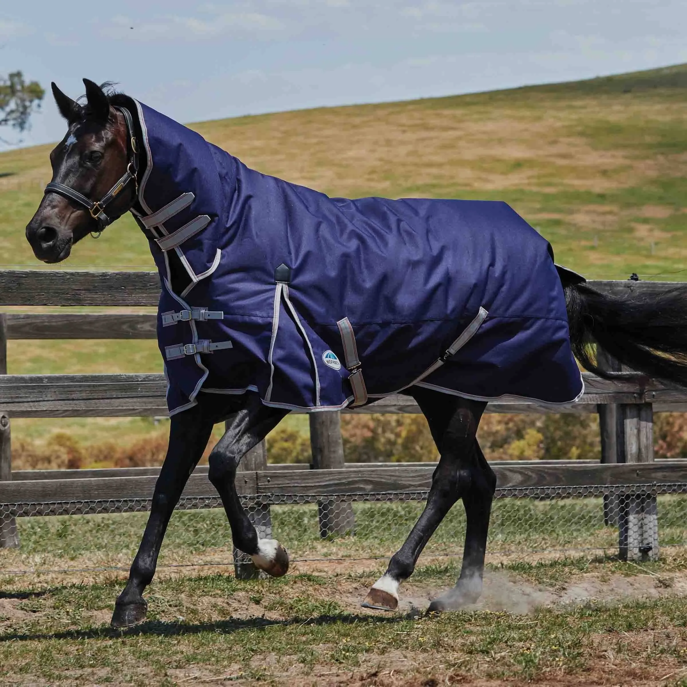 WeatherBeeta Comfitec Essential Combo Neck Heavy Turnout Blanket - 84 / Navy - Corro