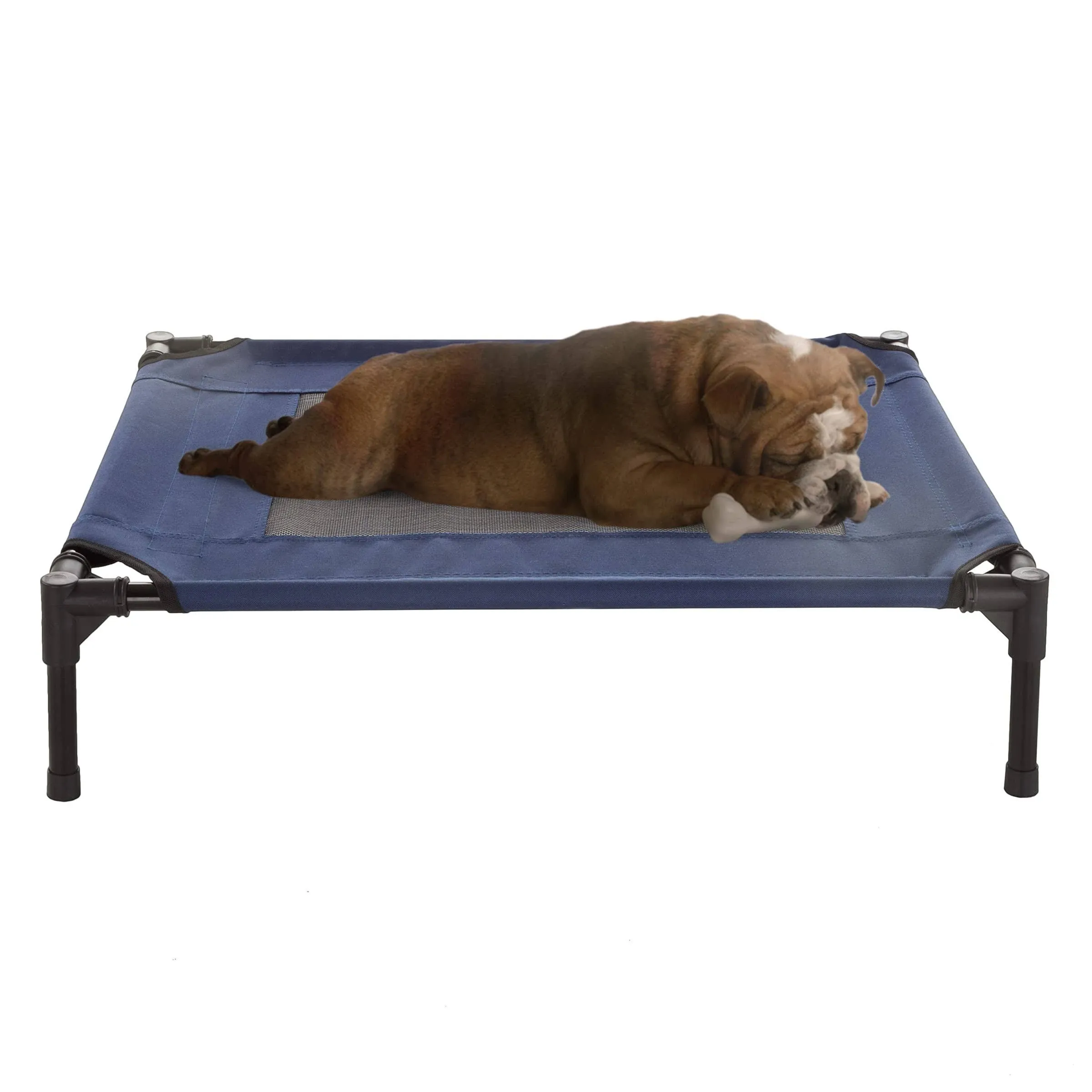 Petmaker Portable Raised Cot-Style Elevated Pet Bed, Blue