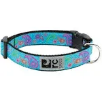 RC Pets 1 Inch Adjustable Dog Clip Collar, Medium, Tropical Paisley