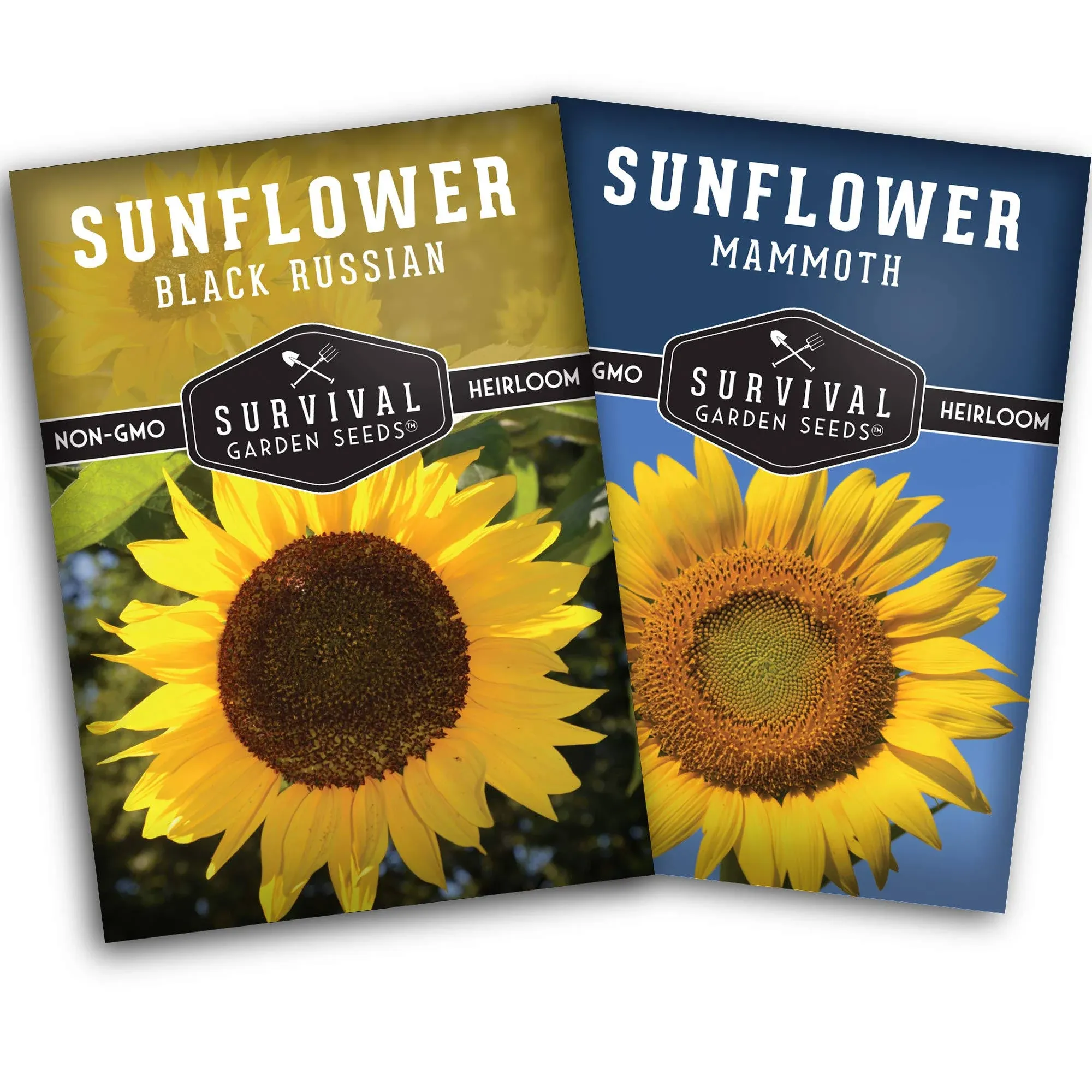 Survival Garden Seeds Edible Sunflower Seed Vault - Gigantic Flowers with Delicious Seeds - Mammoth Sunflower & Oil-Rich Black Russian Sunflower Seeds - Non-GMO Heirloom Seeds for Planting & Growing