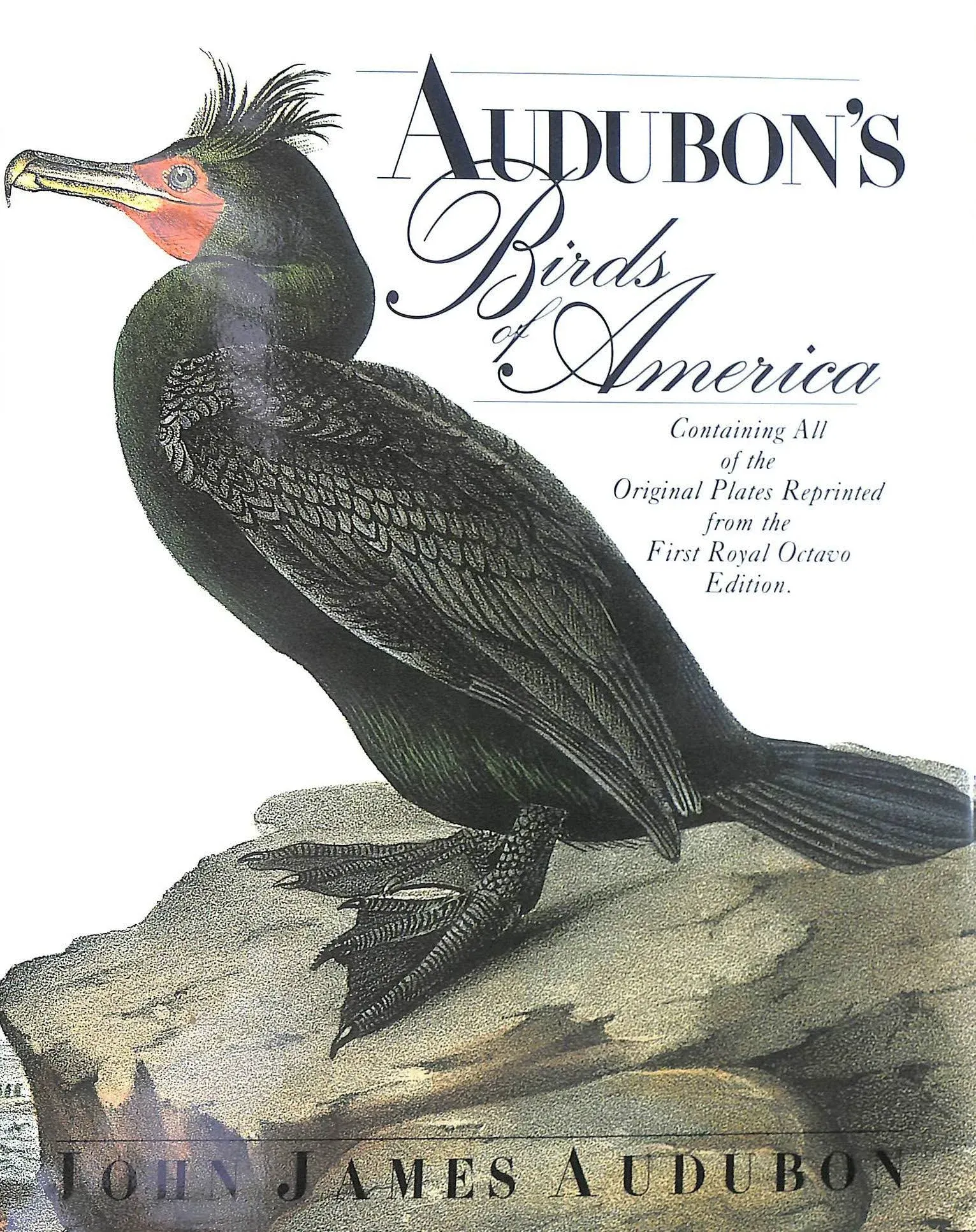 Audubon's Birds of America: The Royal Octavo Edition